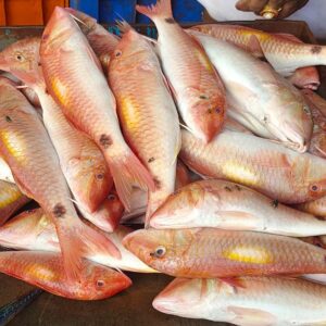 Nagarai Red mullet 1kg