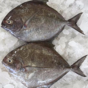 Vaaval (Pomfret) 1kg