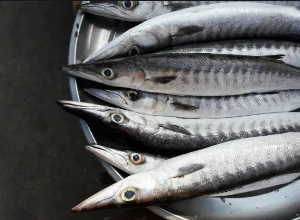 Ooli small 1 kg