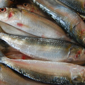 Salai,mathi 1 kg